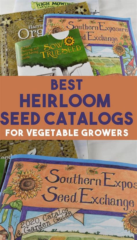 Best Seed Catalogs For Home Gardeners · Hidden Springs Homestead | Heirloom seeds catalog, Seed ...