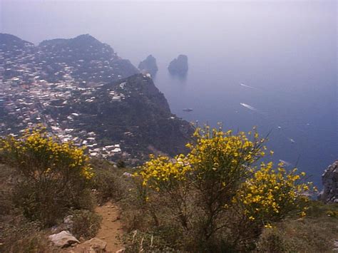 Capri Trails in Capri, Naples, Italy | Hiking | Guides | Guided tours ...