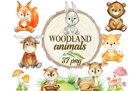 Woodland animals clipart, watercolor forest (1083732)