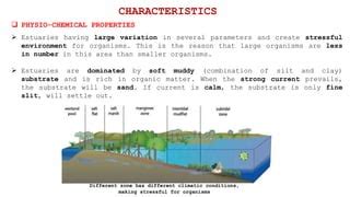 Estuaries ecosystem | PPT