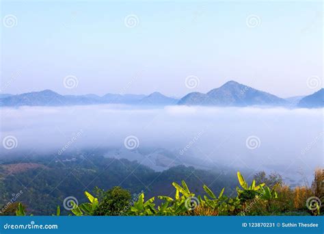 Sunrise Fresh Mist Morning and Beautiful with Green Tree Stock Image - Image of dusk, idyllic ...