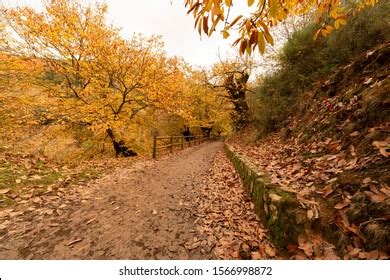 62 Autumn In Las Medulas Images, Stock Photos & Vectors | Shutterstock