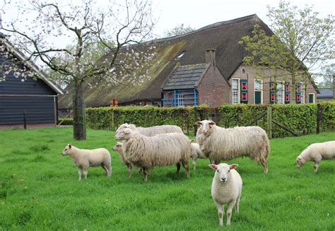 Vertier voor jong en oud bij Boerderijmuseum – Boerderijmuseum