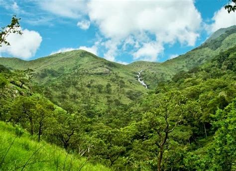 Touring Cardamom Hills – The Pride of Kerala | Shikhar Blog