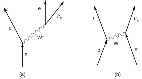 Feynman diagram of particles interacting through the exchange of a W ...