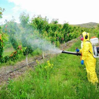 (PDF) Herbicide application techniques