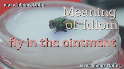 Fly in the Ointment Idiom Meaning Meaning and origin of the English idiom Fly in the Ointment ...