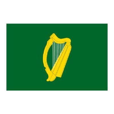 Leinster 1.52m x 0.91m (5ftx 3ft) Budget Display Flag – Flags and Flagpoles