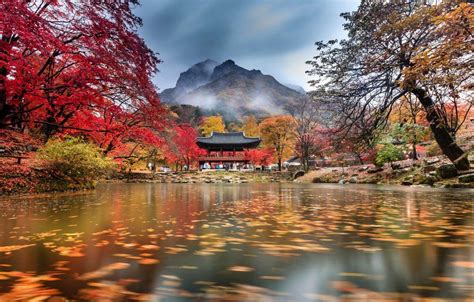 Korean Autumn Wallpaper