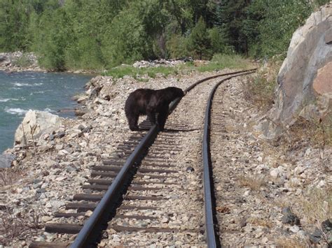 The Route - Official Durango & Silverton Narrow Gauge Railroad Train