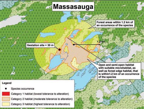 Massasauga Rattlesnake General Habitat Description | ontario.ca