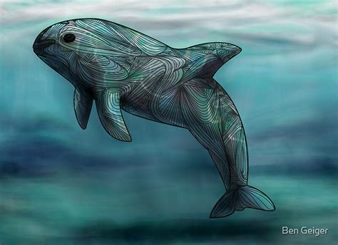 "Vaquita" by Ben Geiger | Redbubble