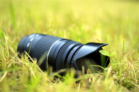Free Images : nature, grass, lawn, camera, photography, photographer ...