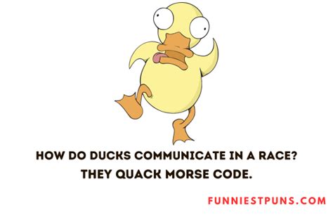 90+ Funny Duck Puns and Jokes: Quacktastic Humor - Funniest Puns