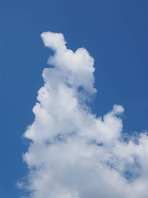 Free Images : sky, white, blue, cumulus clouds, cloud formation, meteorological phenomenon ...