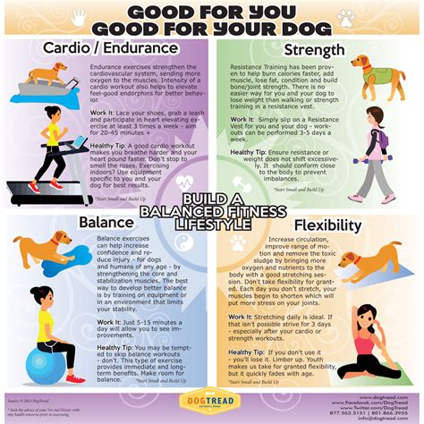 DogTread Infographic | Dog training tips, Dog exercise, Dog training