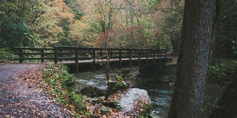 Deep Creek Trail | Bryson City Hiking | The Adventure Collective