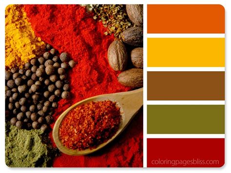 Spices Color Palette | Color schemes colour palettes, Red colour palette, Nature color palette