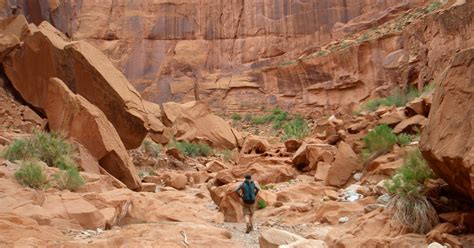 Escalante River: Town to Powell – Doing Miles