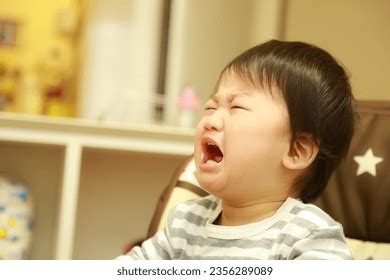 Sad Crying Boy Image Stock Photo 2356289089 | Shutterstock