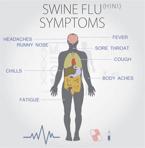[INFOGRAPHIC] Must-know facts about swine flu | Highway Mail