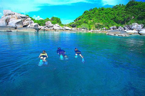 Koh Tao Snorkeling Tour From Koh Samui at Russell Hogan blog