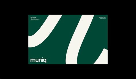 the cover art for munni's album, which features white lines on green