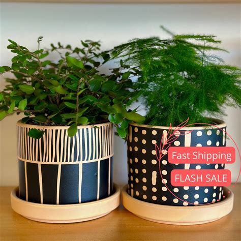 Packs of Planter Pots With Drainage Set Glazed Planters and Pots Indoor ...