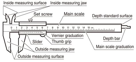 Labled Diagram Of Vernier Calipers - diagram lungs