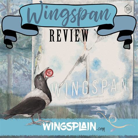 Wingspan Board Game Review: Discover Amazing Birds in a Whole New Way ...