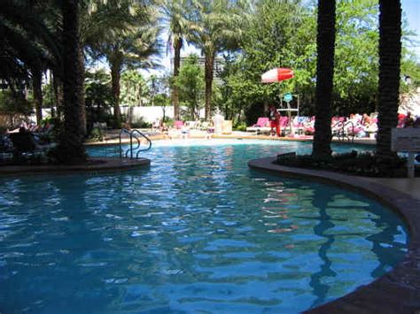 Monte Carlo Hotel & Casino, Las Vegas - Pool Images