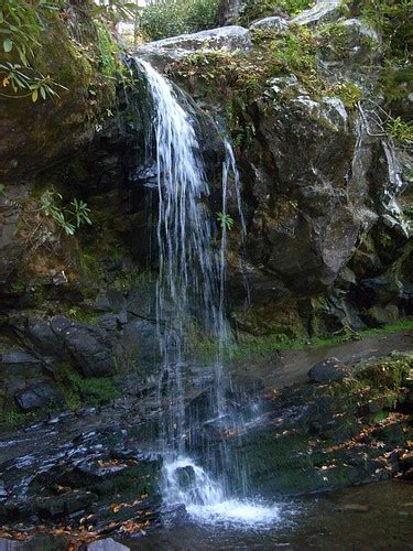 Grotto Falls Trail - Tennessee | AllTrails.com