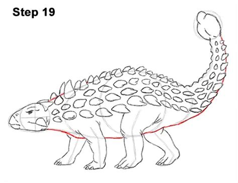 How to Draw an Ankylosaurus