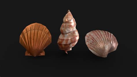 Seashell - Download Free 3D model by TraianDumbrava [410be9c] - Sketchfab