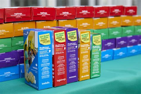 Girl Scouts Debut New "Lemon-Up" Cookie for 2020 | Kitchn