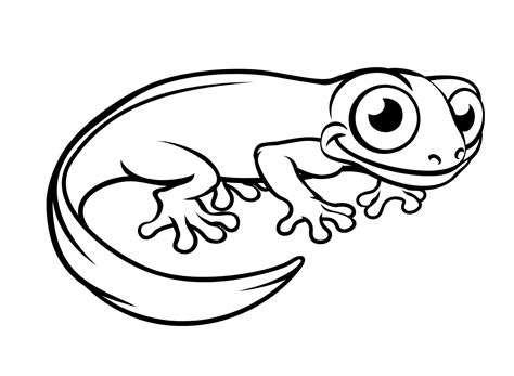 Newt Coloring Pages Printable for Free Download