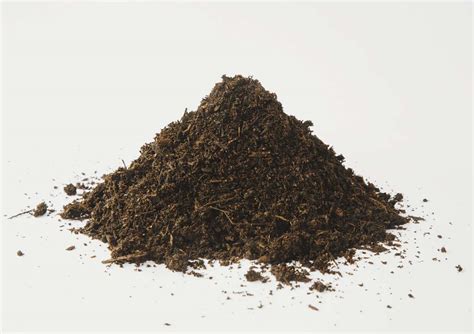 6 Types Of Organic Mulch To Use Instead Of Rubber