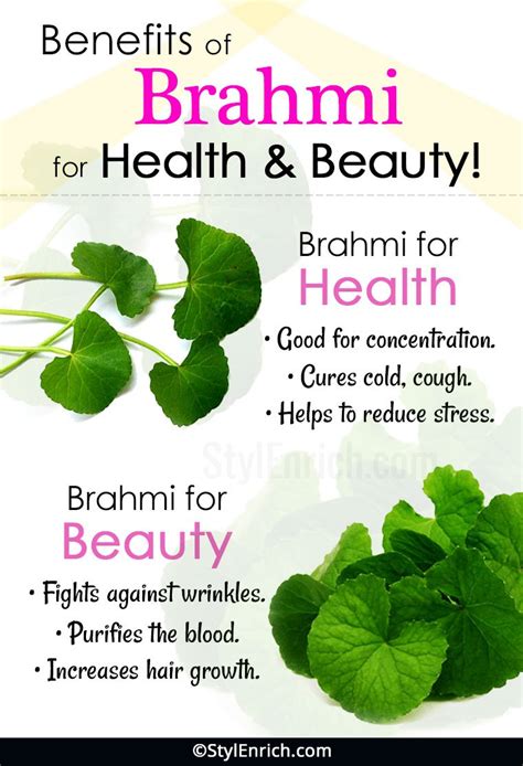 Brahmi Benefits (Indian Pennywort) For Health And Beauty!