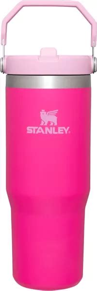 Stanley 30 Oz. IceFlow Tumbler with Flip Straw | Holiday 2023 at DICK'S