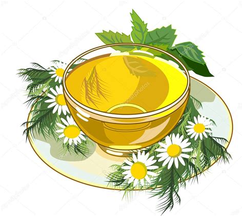 Beautiful cup of herbal tea — Stock Vector © Lanamaster #11545971