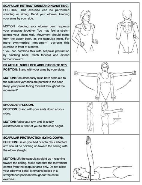 Shoulder Care - Island Medical (Mauritius) Ltd Academy