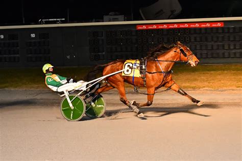 Eight to contest Dover Downs Open Trot - Harnesslink