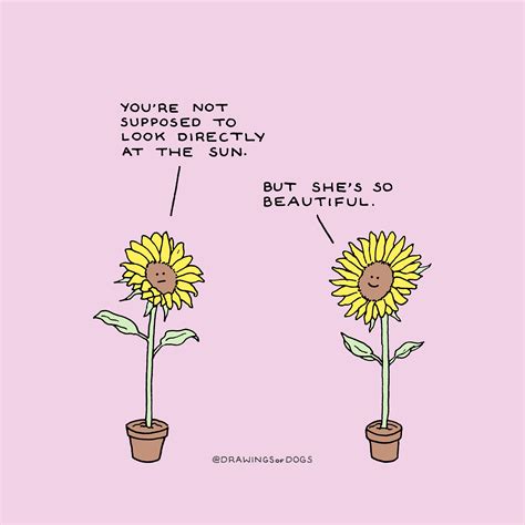 Sunflower memes for horticultural teens : r/wholesomememes