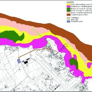 Biocoenosis of the area under study and preliminary identification of... | Download Scientific ...