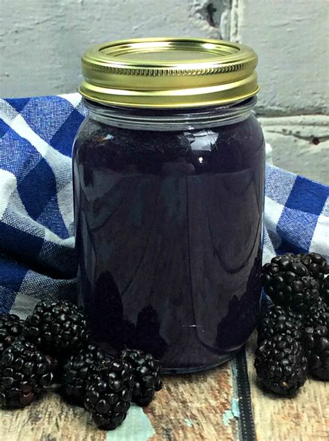 Blueberry Moonshine Recipes With Everclear | Besto Blog