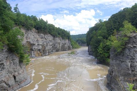 The river and gorge stock image. Image of american, canyon - 14657007