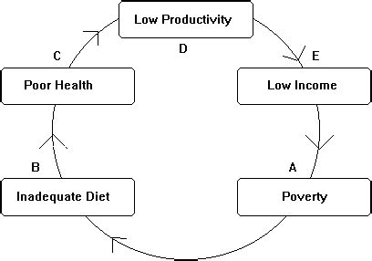 Vicious Cycle Of Poverty Diagram - Wiring Diagram Pictures