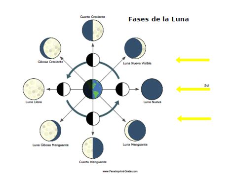 Fases lunares para colorear - Imagui