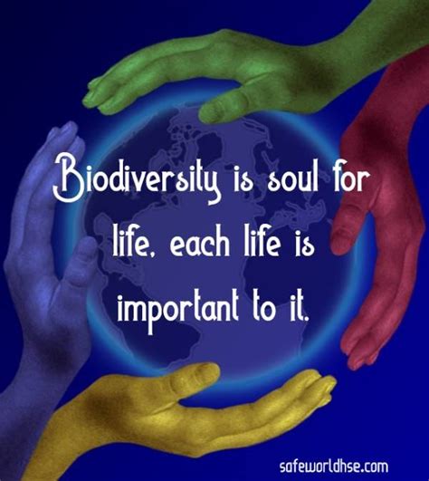 World Environment Day 2020: Best slogans, images, and posters on Biodiversity | by Safeworldhsef ...