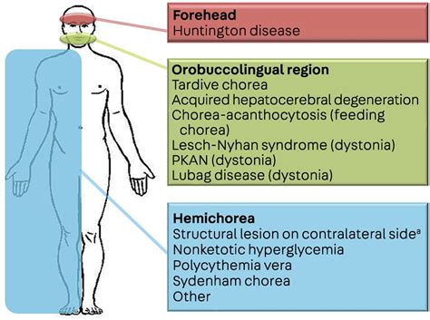 Chorea : CONTINUUM: Lifelong Learning in Neurology